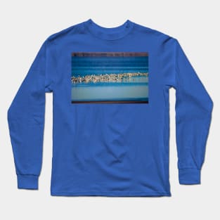 Morning With The American Avocets Long Sleeve T-Shirt